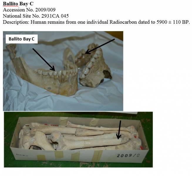 Investigating DNA Of Pre-Iron Age Hunter-gatherers From Southern Africa ...